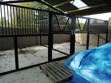 Box doppio per cavalli con tetto coibentato