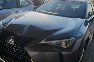 Lexus ux250