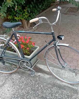 bicicletta da uomo 