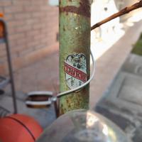 Bici Taurus da donna anni 50/60