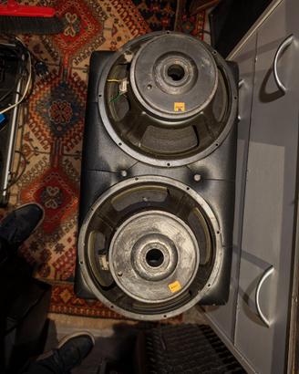 coni woofer della bose 302