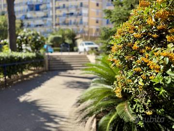 Appartamento - Marano di Napoli