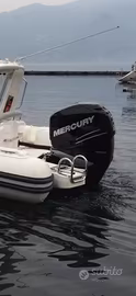 Mercury verado 250 L6