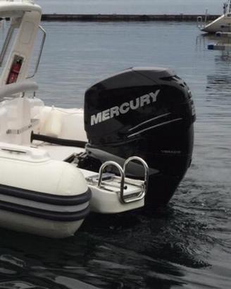 Mercury verado 250 L6