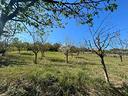 ter-agricolo-a-monterotondo