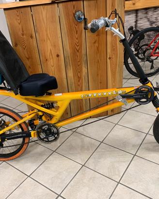 Cannondale EASY RIDER full suspension. UNICA