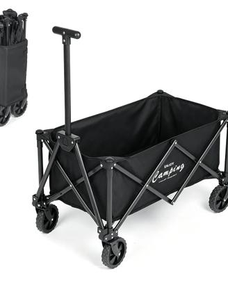 Carrello per spesa/spiaggia