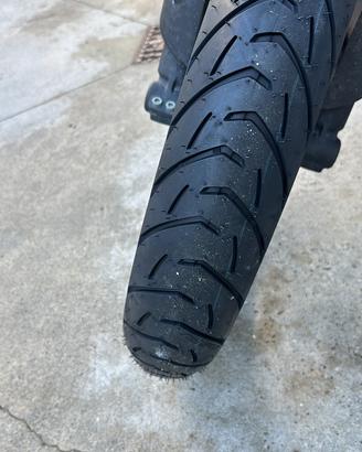Triumph Tiger 800