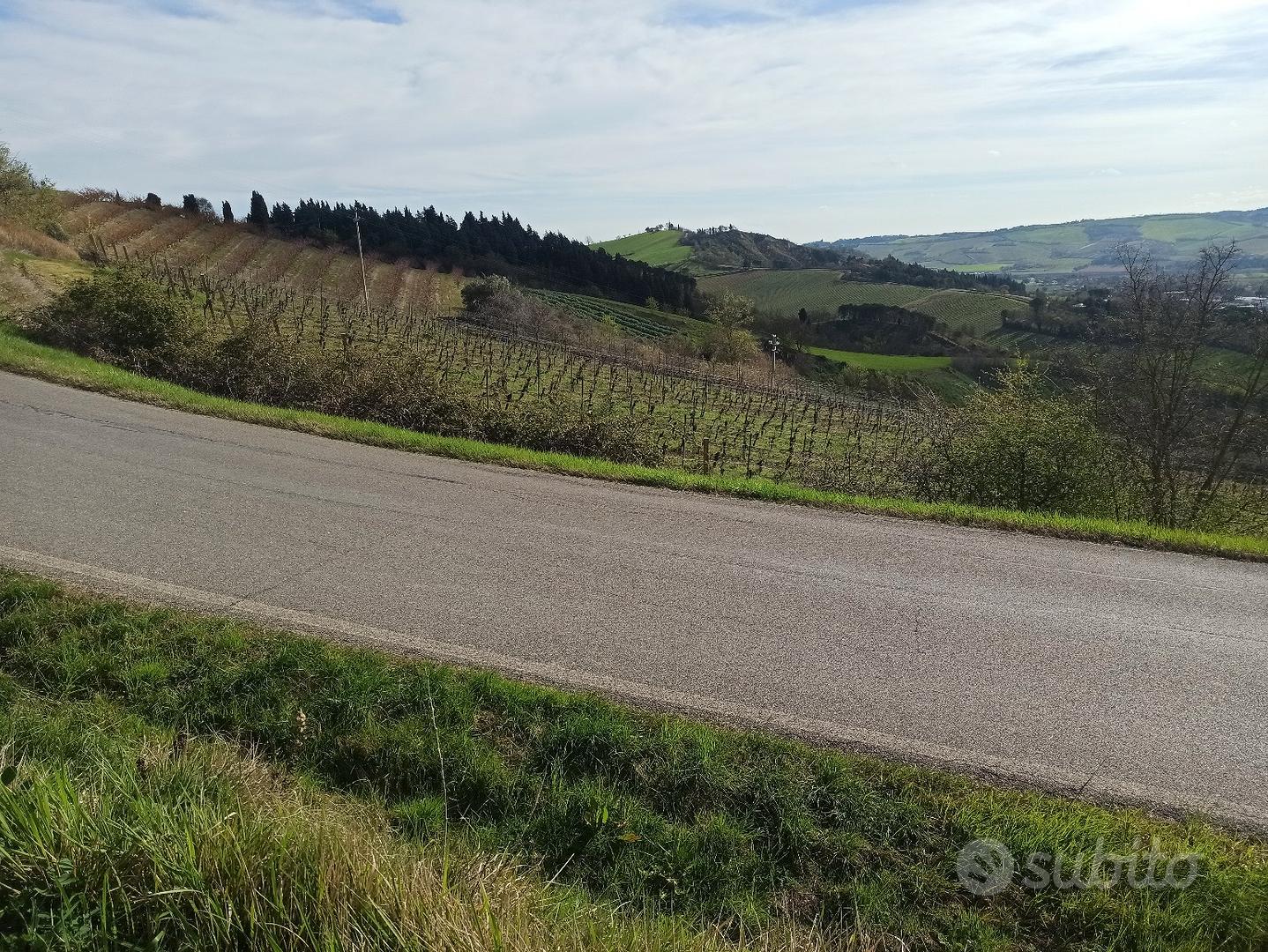 terreno agricolo a vigneto e terreno nudo - Vista 3