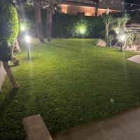 si effettuano lavori di giardinaggio 