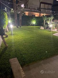 si effettuano lavori di giardinaggio 