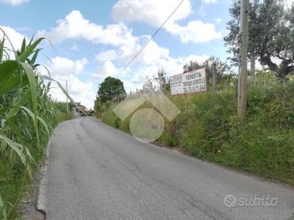 TER. AGRICOLO A ALBANO LAZIALE