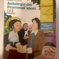 Antologia dei Promessi sposi