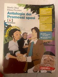 Antologia dei Promessi sposi