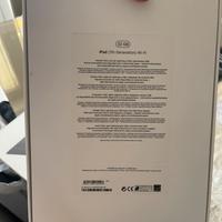 Ipad apple