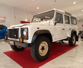 Land Rover Defender 110 2.5 Td5 cat Hard-Top AUTOC