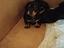 Immagine 3