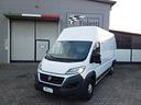 fiat-ducato-maxi