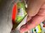 Immagine 4