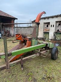 Trincia monofila Gallignani