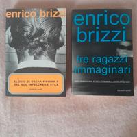 Enrico Brizzi