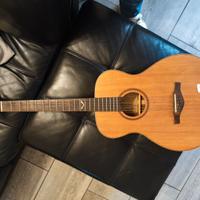 Chitarra Eko Evo baritona