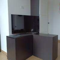 Mobile TV