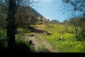 Terreno edificabile con rudere a cefalù