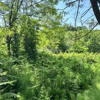 Terreno destinato ai servizi pubblici o alle attre