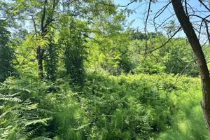 Terreno destinato ai servizi pubblici o alle attre