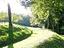 Immagine 14