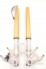 Sospensione anteriore forcelle BMW S 1000 R K47 15