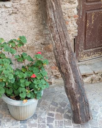 spezzoni trave in castagno