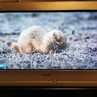 TV SAMSUNG CRT 30'' DOLBY SURROUND