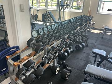 Manubri palestra