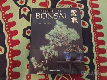 I Segreti del Bonsai - Peter Chan libro
