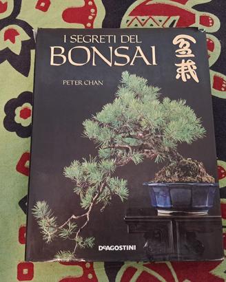 I Segreti del Bonsai - Peter Chan libro
