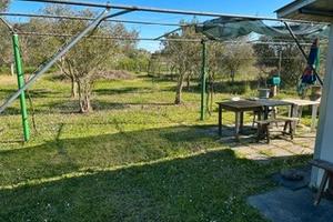 Terreno agricolo Mq. 1200 Ravenna