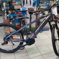 Bicicletta elettrica 