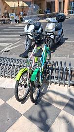 Biciclette 20 per ragazzi