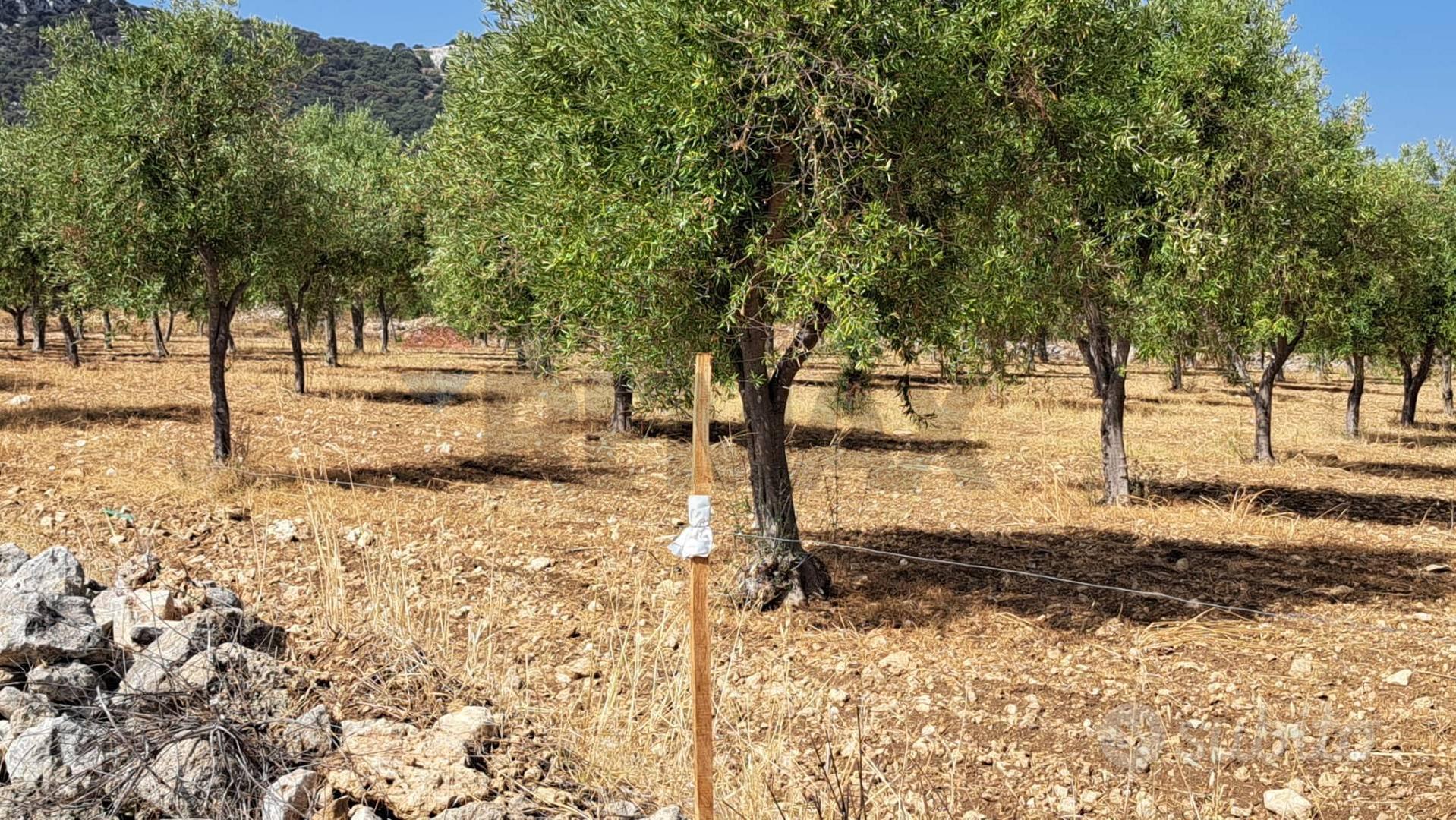 Terreno - Priolo Gargallo - Altro
