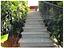 Immagine 7