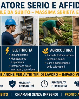 Pittura, Elettricità, Agricoltura, Edilizia /
