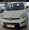 fiat-panda-1-0-gse-s-s-hybrid-street-van-4-posti