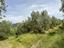 Immagine 27