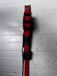 Collare garmin t5