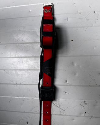 Collare garmin t5