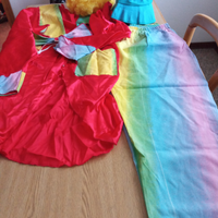 Vestito di carnevale