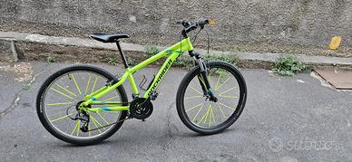 bicicletta