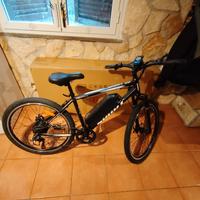 Bicicletta elettrica con pedalata assistita 